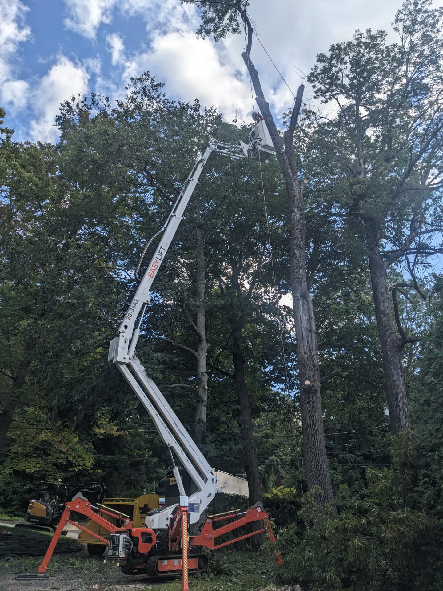 Nacelle chenillée déployée pour l'abattage d'un grand arbre